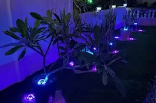 1735 Plaza Crest Ridge Rd, San Diego, CA 92114 - Photo 2