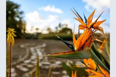 12705 War Horse Street, San Diego, CA 92129 - Photo 40