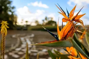 12705 War Horse St, San Diego, CA 92129 - Photo 40