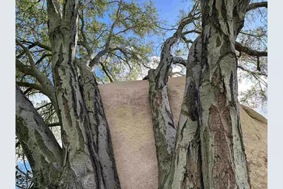 2494 Donnil Lane, Fallbrook, CA 92028 - Photo 36