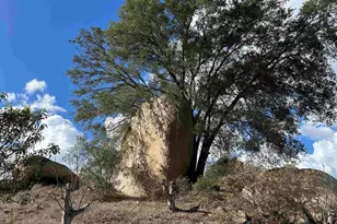 2494 Donnil Ln, Fallbrook, CA 92028 - Photo 38