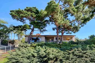 4335 Osprey, San Diego, CA 92107 - Photo 34