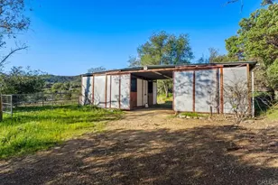 24210 Fremontia Ln, Descanso, CA 91916 - Photo 50