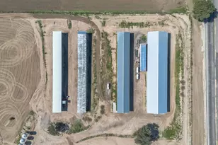 35683 Breezy Ln, Ranchita, CA 92066 - Photo 6