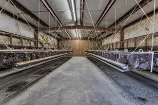 35683 Breezy Ln, Ranchita, CA 92066 - Photo 36