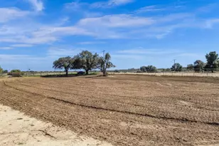 35683 Breezy Ln, Ranchita, CA 92066 - Photo 30