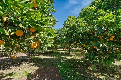 11460 Pinehurst Dr, Lakeside, CA 92040 - Photo 48