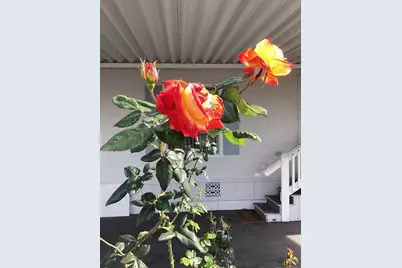 1425 2nd Avenue #116, Chula Vista, CA 91911 - Photo 4