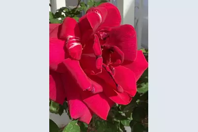 1425 2nd Avenue #116, Chula Vista, CA 91911 - Photo 6