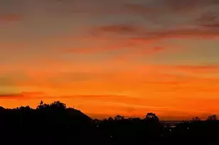 2323 Caringa Way, Carlsbad, CA 92009 - Photo 8