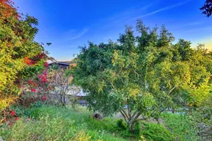 3539 Mt Laurence Dr, San Diego, CA 92117 - Photo 66