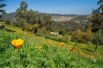2702 Country Club Drive, Escondido, CA 92029 - Photo 22