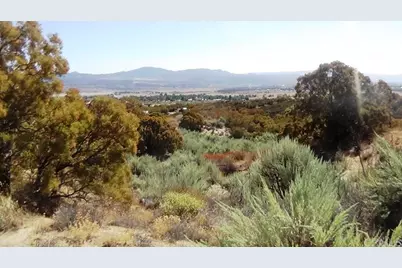 37245 Old Forest Road, Anza, CA 92539 - Photo 18