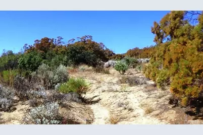 37245 Old Forest Road, Anza, CA 92539 - Photo 14