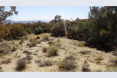 37245 Old Forest Road, Anza, CA 92539 - Photo 8