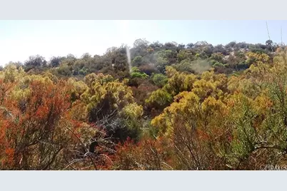 37245 Old Forest Road, Anza, CA 92539 - Photo 28