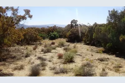 37245 Old Forest Road, Anza, CA 92539 - Photo 10