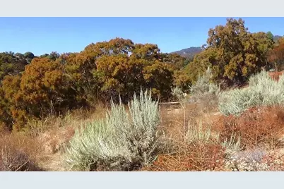 37245 Old Forest Road, Anza, CA 92539 - Photo 26