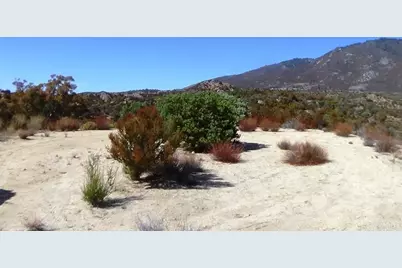 37245 Old Forest Road, Anza, CA 92539 - Photo 4