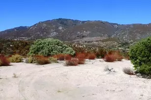 37245 Old Forest Rd, Anza, CA 92539 - Photo 1