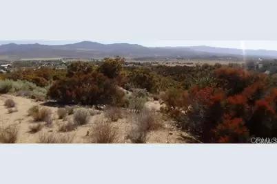 37245 Old Forest Road, Anza, CA 92539 - Photo 20