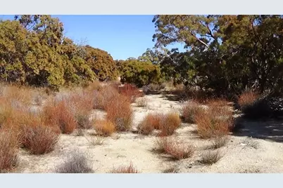 37245 Old Forest Road, Anza, CA 92539 - Photo 36