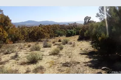 37245 Old Forest Road, Anza, CA 92539 - Photo 40