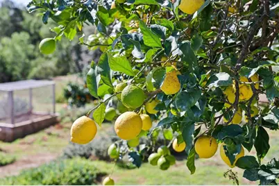 1761 Winterwarm Drive, Fallbrook, CA 92028 - Photo 38