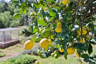 1761 Winterwarm Dr, Fallbrook, CA 92028 - Photo 38