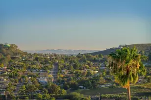 9935 Bonnie Vista Dr, La Mesa, CA 91941 - Photo 66