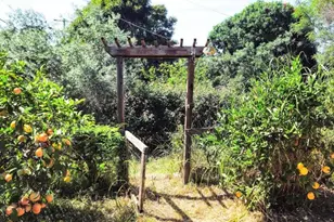 5603 Winchester St, San Diego, CA 92139 - Photo 6