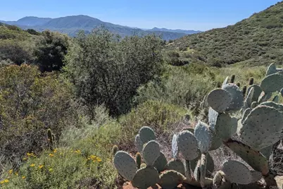 3333 Suncrest Boulevard, El Cajon, CA 92021 - Photo 6