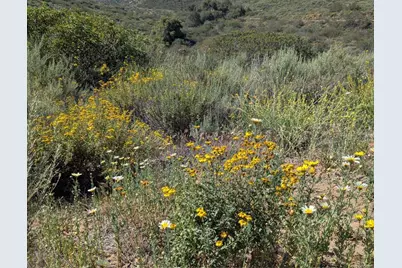 3333 Suncrest Boulevard, El Cajon, CA 92021 - Photo 44