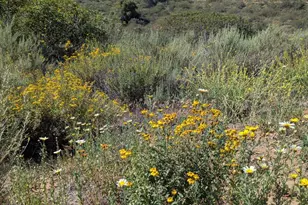 3333 Suncrest Blvd, El Cajon, CA 92021 - Photo 44