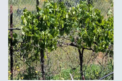 3333 Suncrest Boulevard, El Cajon, CA 92021 - Photo 38