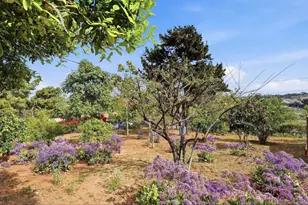 3861 Grandview Pl, Bonita, CA 91902 - Photo 54