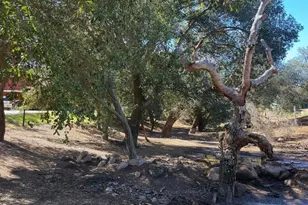 22002 Lyons Valley Rd, Alpine, CA 91901 - Photo 14