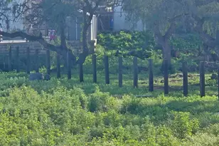 2205 Leon Ave, San Diego, CA 92154 - Photo 60