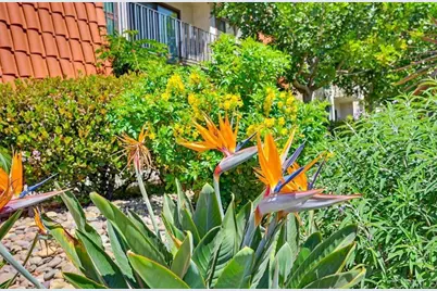 6780 Friars Rd #366, Mission Village, CA 92018 - Photo 52