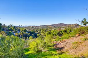 3709 Buena Creek Rd, Vista, CA 92084 - Photo 48