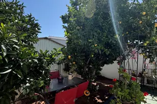 260 E Bradley Ave, El Cajon, CA 92021 - Photo 4