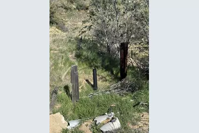 59775 Moonshine Trail, Anza, CA 92539 - Photo 12