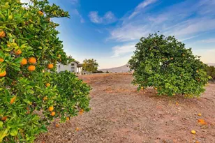 974 Bremen Way, Alpine, CA 91901 - Photo 64