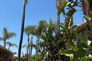 467 Ballantyne St, El Cajon, CA 92020 - Photo 4
