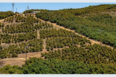 45000 Rancho Fallbrook Road, Temecula, CA 92590 - Photo 30
