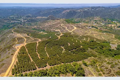 45000 Rancho Fallbrook Road, Temecula, CA 92590 - Photo 14