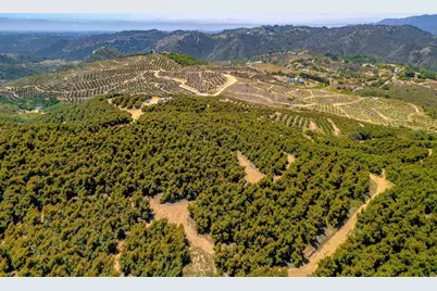 45000 Rancho Fallbrook Road, Temecula, CA 92590 - Photo 18