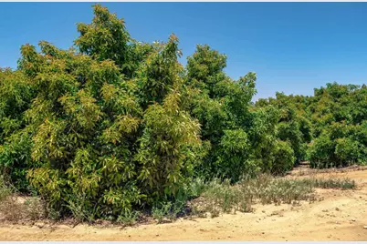 45000 Rancho Fallbrook Road, Temecula, CA 92590 - Photo 34