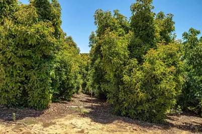 45000 Rancho Fallbrook Road, Temecula, CA 92590 - Photo 32