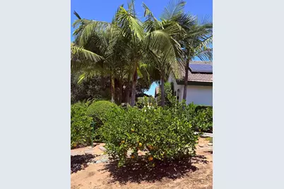 524 Rosvall Dr Drive, Fallbrook, CA 92028 - Photo 20